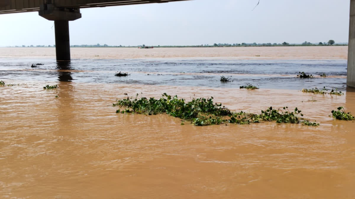 Bihar Rivers Water Level