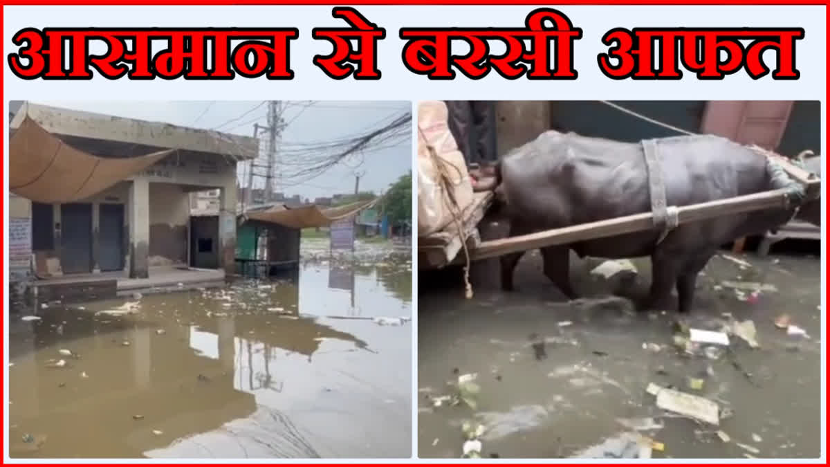 Water logging in Nuh