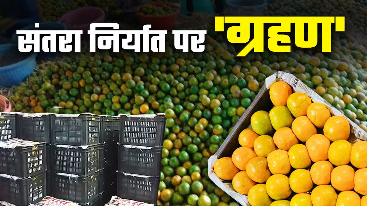 CHHINDWARA ORANGE EXPORT PROBLEM