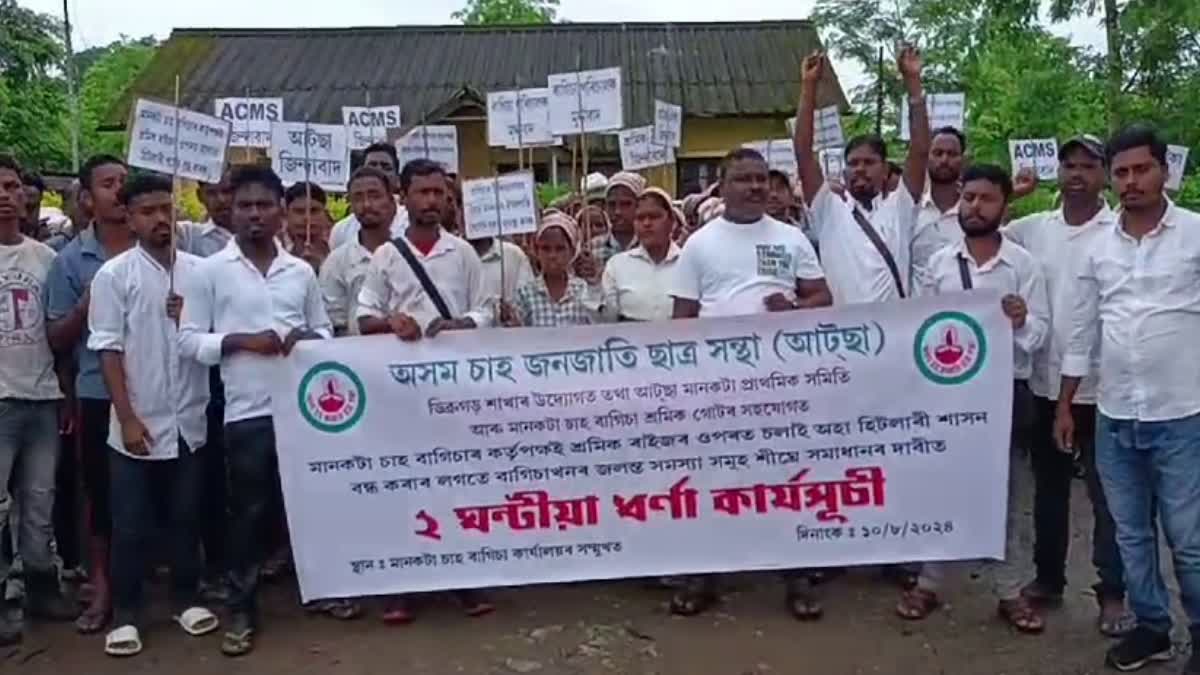 PROTEST AT MANCOTTA TEA ESTATE