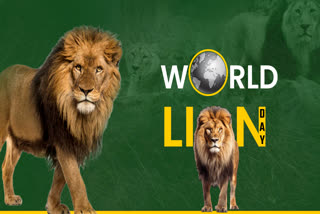 world lion Day 2024