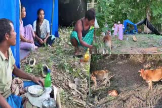 /excess-water-released-from-doyang-dam-causes-flood-in-golaghat