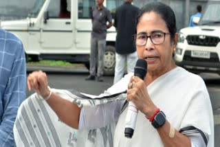 mamata