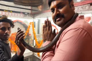 jabalpur MLA with snake