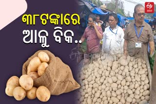 Potato Crisis in Odisha