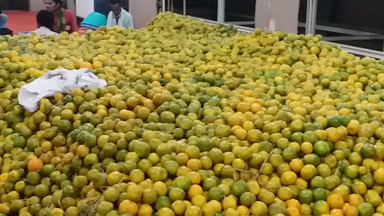 Orange Export BANGLADESH