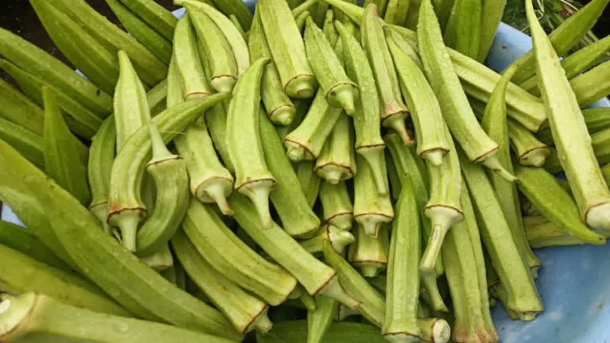 Benefits of Ladyfinger