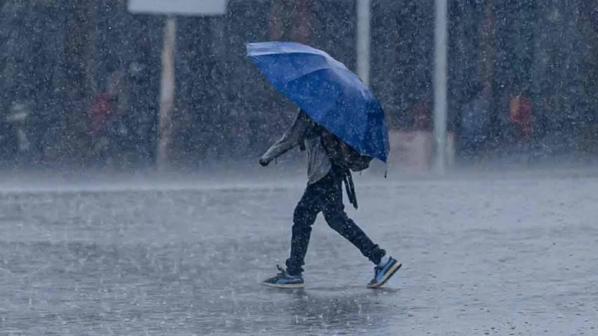 Rains expected in kerala  kerala weather update  kerala rain update  India Meteorological Department