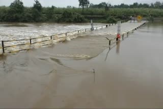 heavy-rain-in-surat-and-south-gujarat-vawya-khadi-became-ganditoor