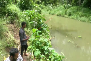 Fishing With Bait  Idukki Youngsters Fishing With Bait  Rain in hilly areas Idukki  Kerala Rain  Fishing in Idukki  Youngsters Catching Fish In Idukki  ചൂണ്ടയിട്ട് മീന്‍ പിടിത്തം  മീന്‍ പിടിത്തം  ഇടുക്കി മീന്‍ പിടിത്തം