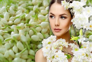 Jasmine flower for skin