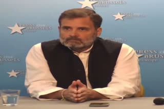 Nothing Hindu about what the BJP does: Rahul Gandhi