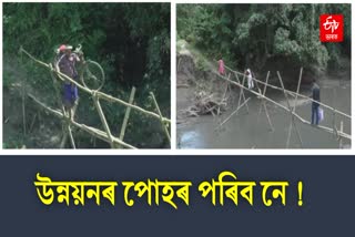 Poor Bridge in Udalguri