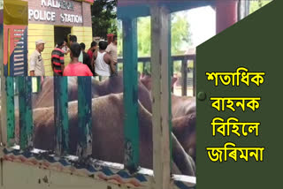 Livestock smuggling in Assam