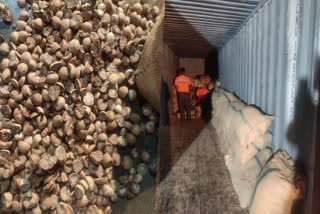 Betel Nut Smuggling