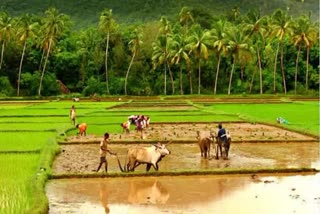 ಪಿಎಂ ಕಿಸಾನ್​ ಸಮ್ಮಾನ್​ ನಿಧಿ ಯೋಜನೆ