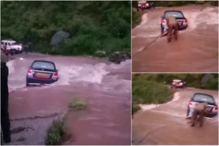 Car stuck in rain drain