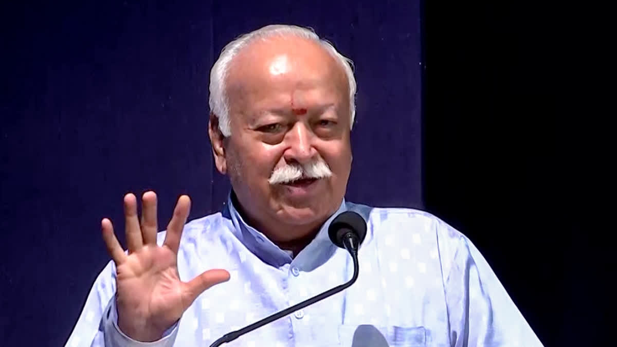 "All those who fear that if India grows big, their businesses will be shut, such elements are working to create hindrance in the path of country's development and by galvanising all the power they have," the RSS chief said.