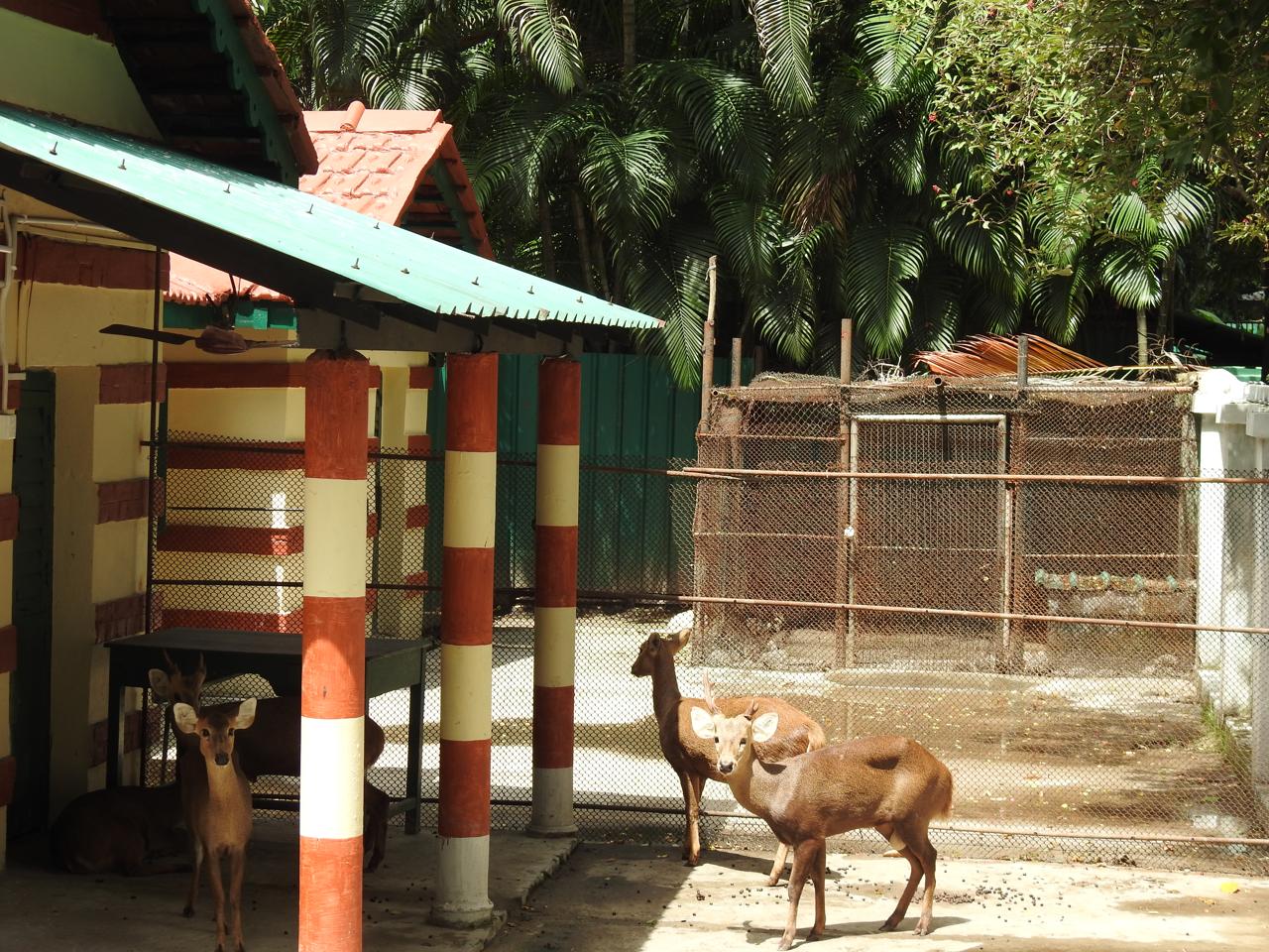 Alipore Zoological Garden