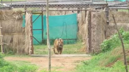 SATKOSIA TIGER RESERVE