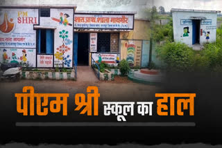 Reality of PM Shri School in Bharatpur