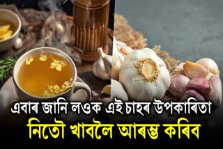 The anti-viral properties present in garlic tea will eliminate these diseases