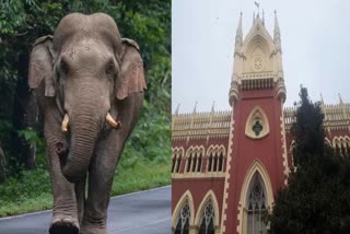 Calcutta High Court