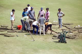 Afghanistan vs New Zealand