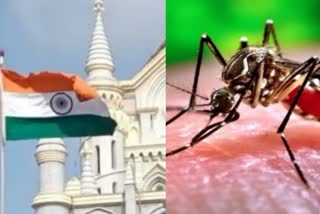 MP Dengue Outbreak