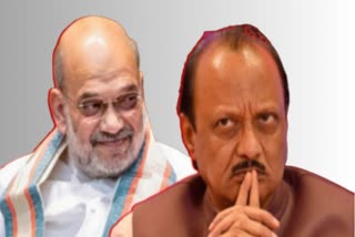 Ajit Pawar And Amit Shah