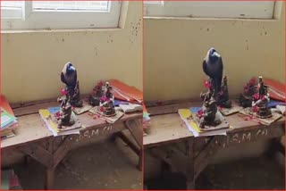 Crow on Ganapati idol