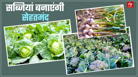 Vegetable production after monsoon