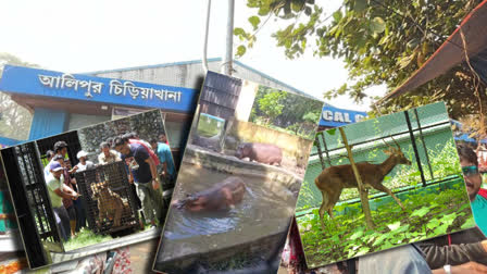 Alipore Zoological Garden