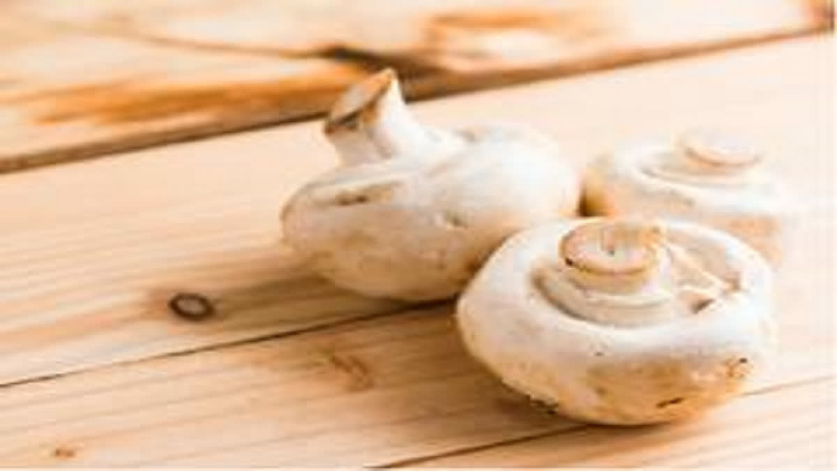 Small doses of mushrooms are beneficial in the treatment of mental problems