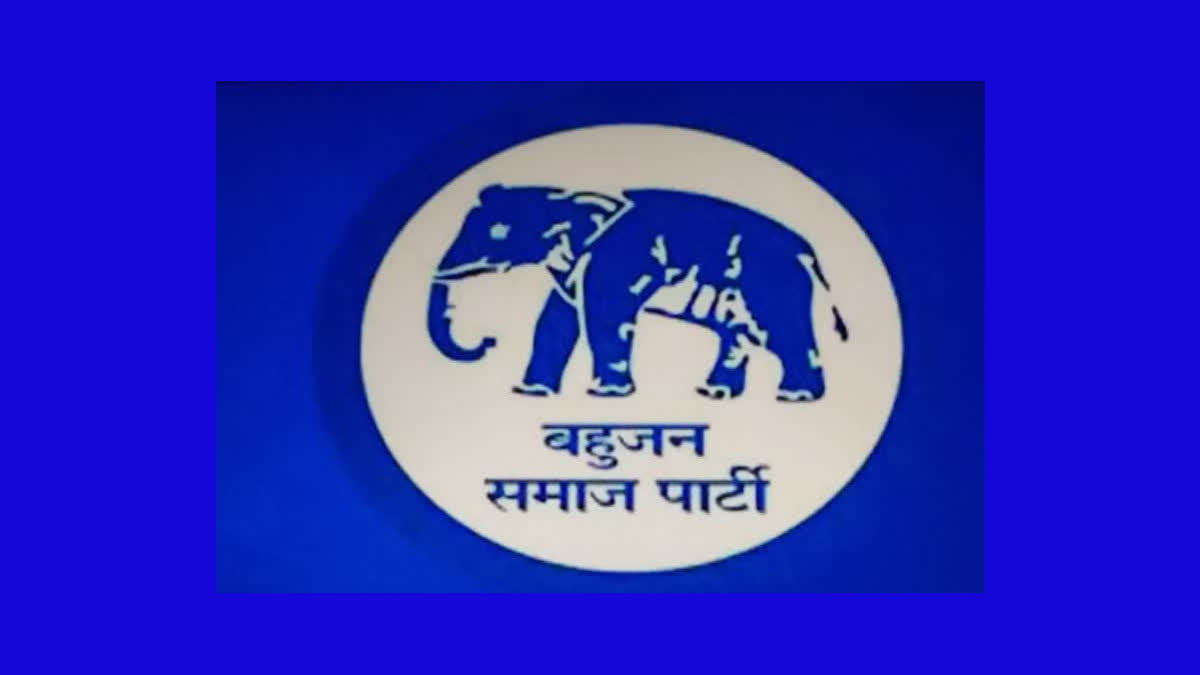 BSP LOGO | Party logo, ? logo, Party