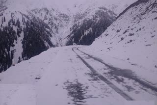 Fresh snowfall in Kashmir