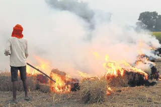 Stubble burning