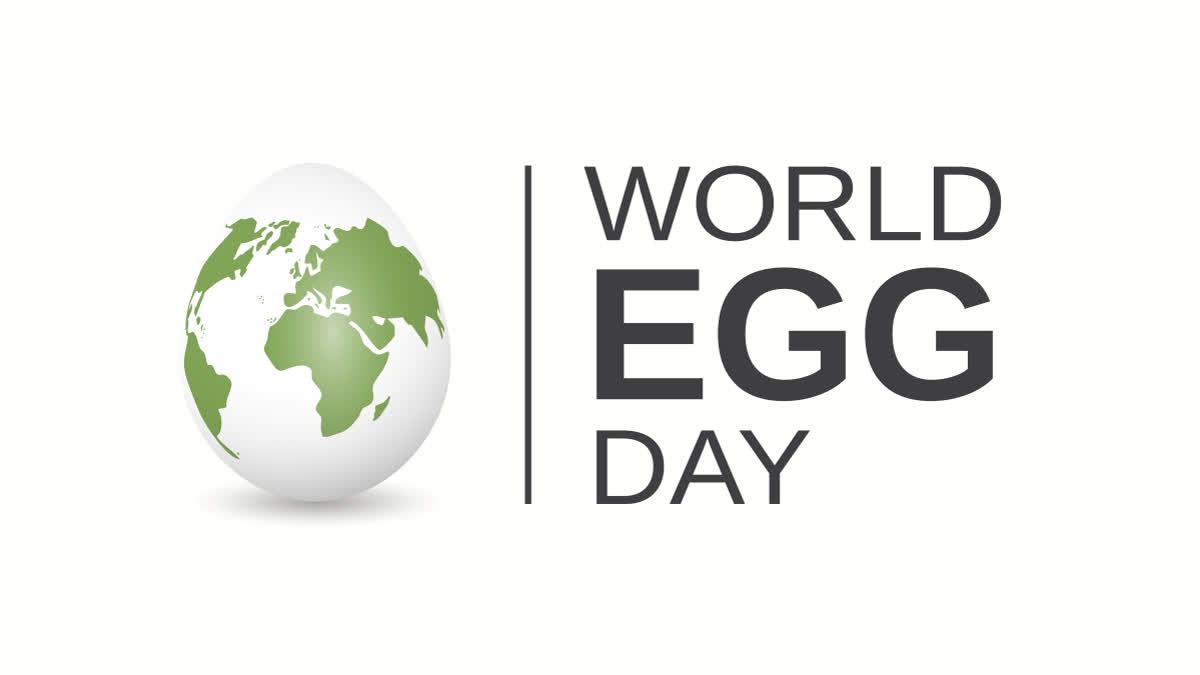 World Egg Day: Raising Awareness Of Egg Industry's Contributions To Economic Growth