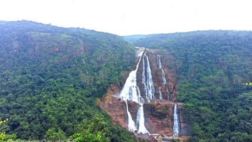 SIMILIPAL SANCTUARY OPEN