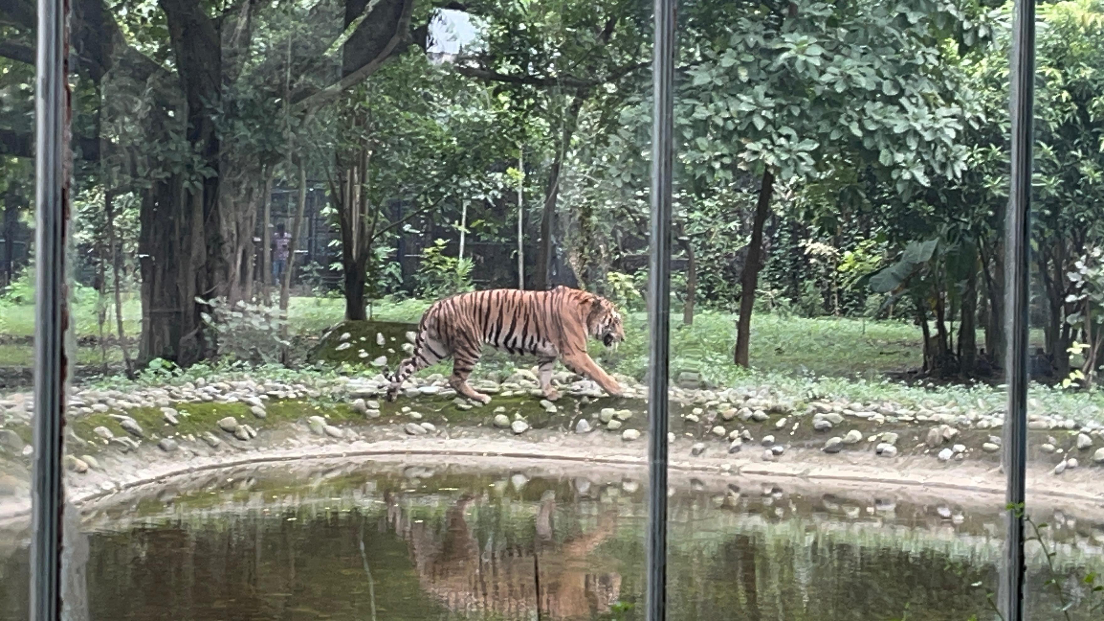 Alipore Zoo