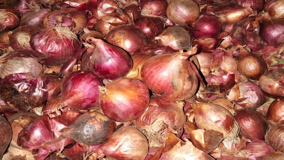 ONION AVAILABLE AT RATION SHOP