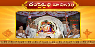 Srivaru on Chandra Prabha Vahanam in Tirumala Live