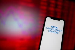 TCS Q2 Results 2024