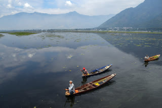 Like The Past Two Assembly Elections, Kashmiri Pandits Yield Nothing In Valley