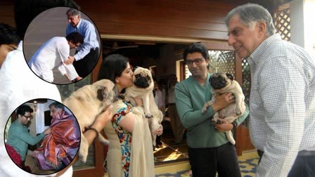 Raj Thackeray brought up the memories of Ratan Tata dog love