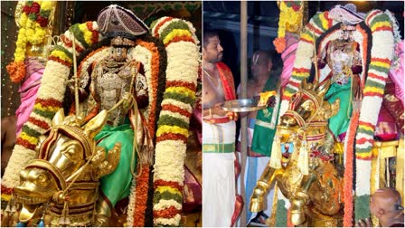 Tirumala Aswa Vahanam Significance