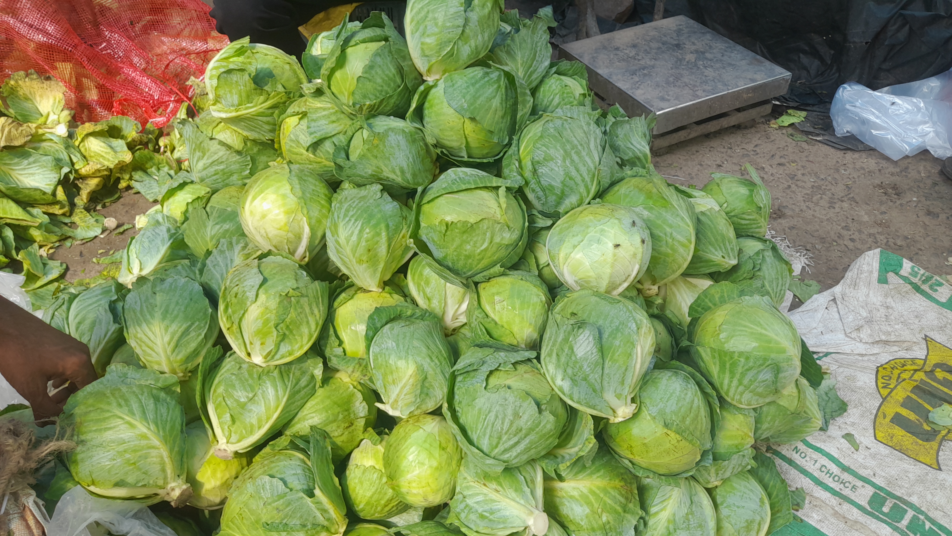 Rise In Vegetable Price