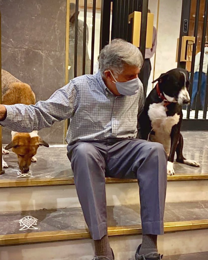 Ratan Tata with dogs in the lobby of the iconic Taj Mahal Palace Hotel