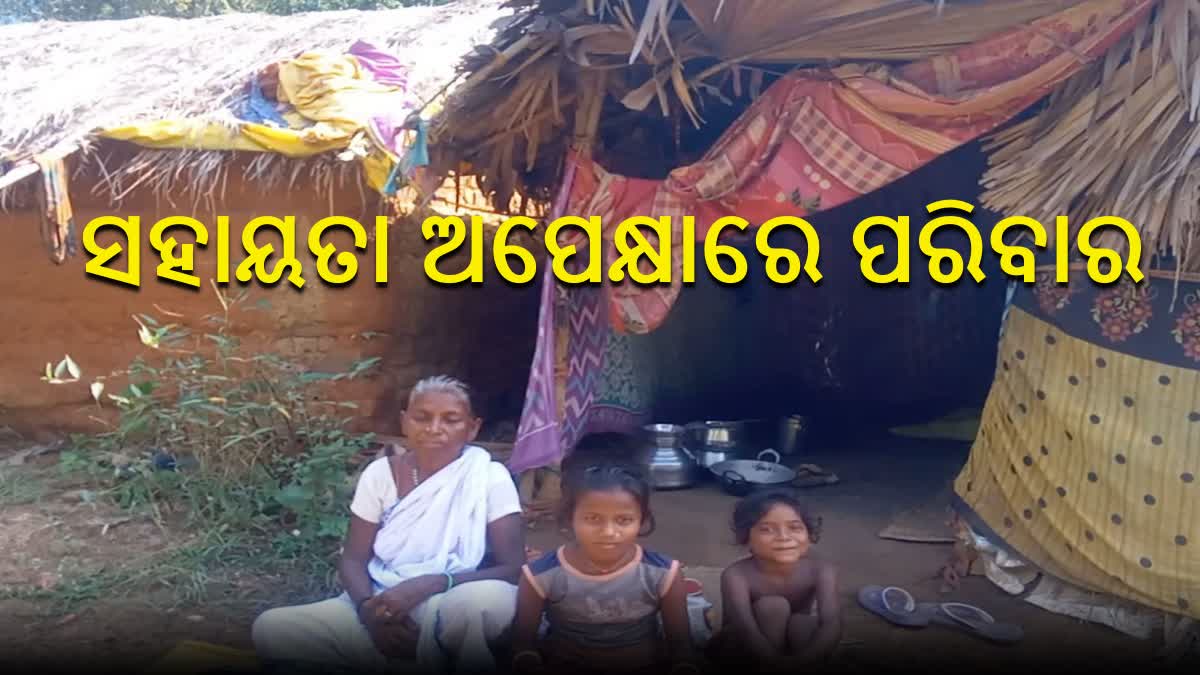 Family need govt help