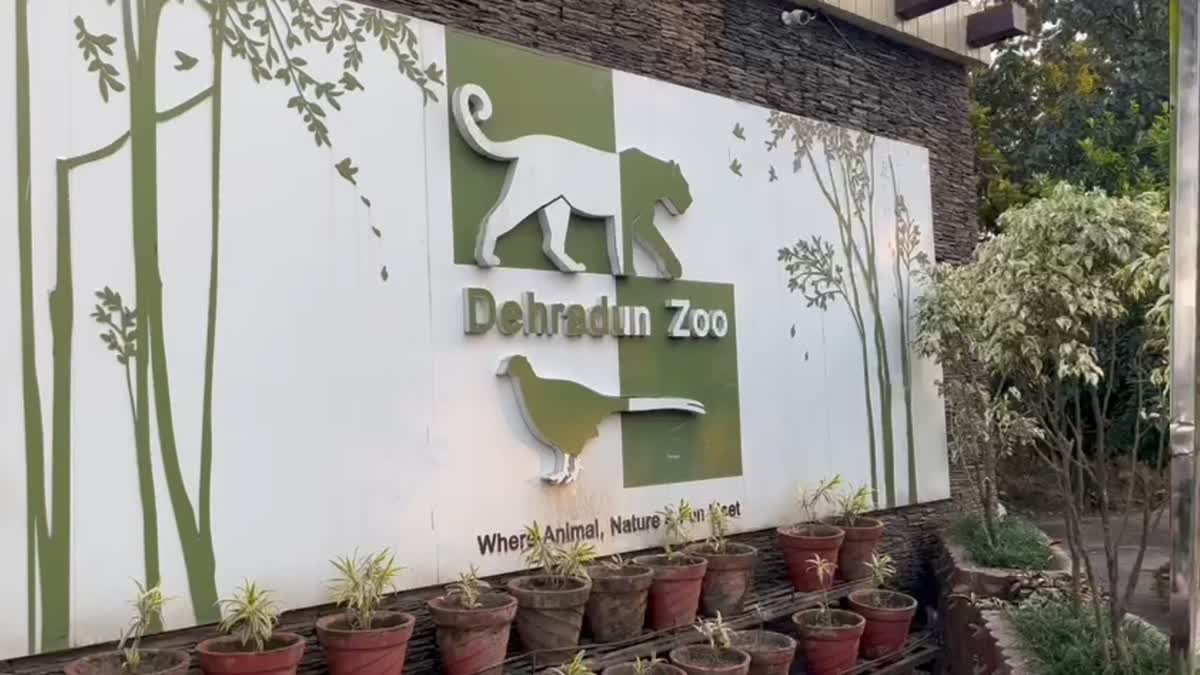 Dehradun zoo
